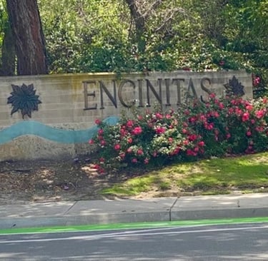 Leucadia Blvd & El Camino Real