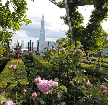 City of London private walking tour - nature and architecture - Garden at 120, The Shard