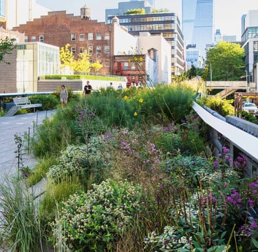 Dutch landscape designer Piet Oudolf known for naturalistic planting and modern garden design philos
