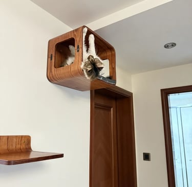 Pet-friendly outdoor living space with comfortable furniture, cozy atmosphere and stylish Scandinavian-inspired design.