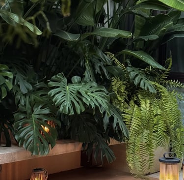 Comfortable garden retreat with outdoor seating, natural greenery, ambient lighting and cozy outdoor