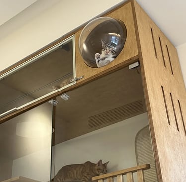 Pet-friendly outdoor living space with comfortable furniture, cozy atmosphere and stylish Scandinavi
