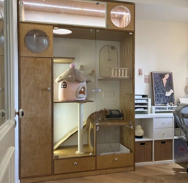 Pet-friendly outdoor living space with comfortable furniture, cozy atmosphere and stylish Scandinavian-inspired design.
