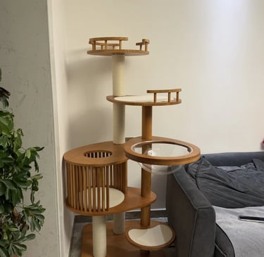 Pet-friendly outdoor living space with comfortable furniture, cozy atmosphere and stylish Scandinavi