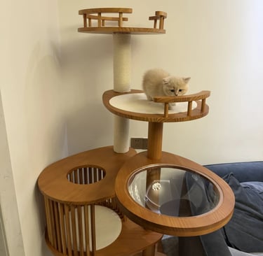 Pet-friendly outdoor living space with comfortable furniture, cozy atmosphere and stylish Scandinavi