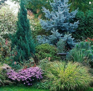 Naturalistic perennial garden inspired by Piet Oudolf with seasonal textures, grasses and flowing planting design.