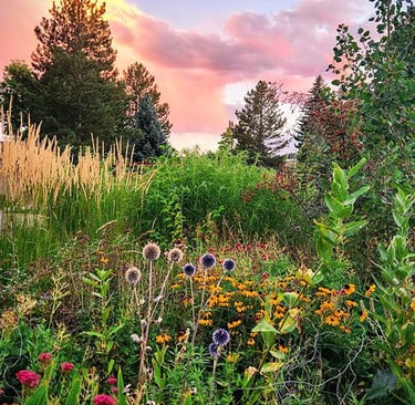 Dutch landscape designer Piet Oudolf known for naturalistic planting and modern garden design philos