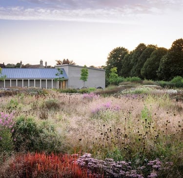 Dutch landscape designer Piet Oudolf known for naturalistic planting and modern garden design philos