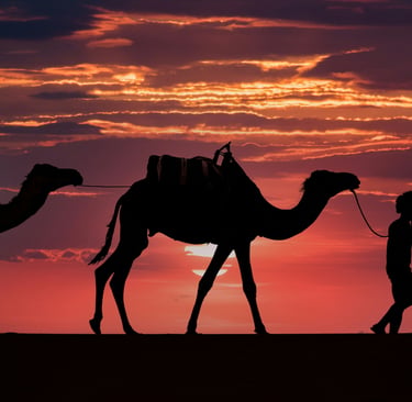 brasileiros no Marrocos