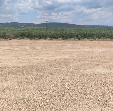 Field leveled by machinery for agricultural work