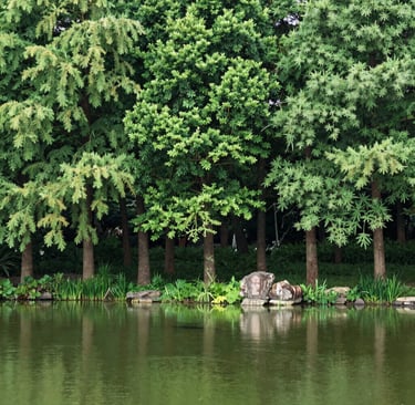 woman wearing black crew-neck shirt