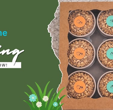 New products for Spring from Crumble Bums of Cochrane