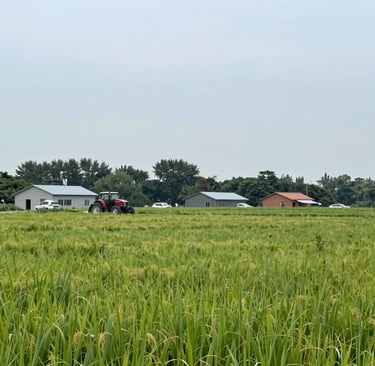 Elegant law office with leather-bound books and a polished wooden desk.