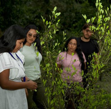 Guia indigena wiwa explicando la hoja de coca