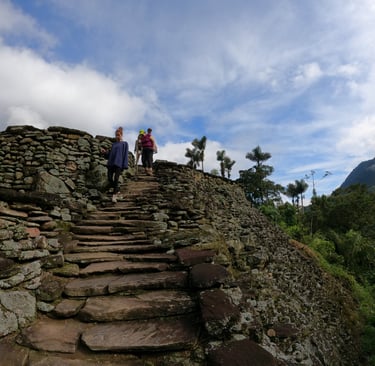 Trekking ciudad perdida 4 días  