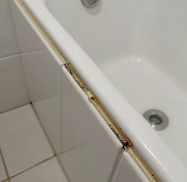 Before and after comparison of a moldy silicone seal replaced with new special silicone.