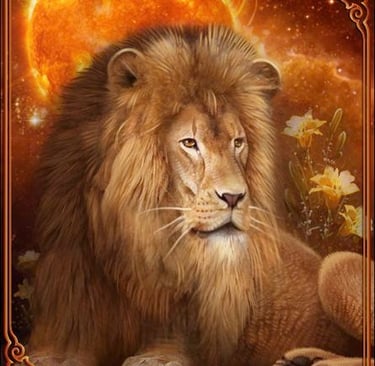 Un lion assis avec le soleil derrière lui
