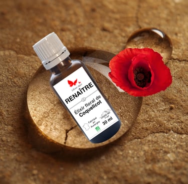 Flacon élixir floral RENAÎTRE, L'Âme-Agie.