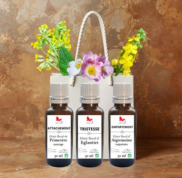 Flacons d'élixir de Primevère, Églantier et Aigremoine avec fleurs sauvages.