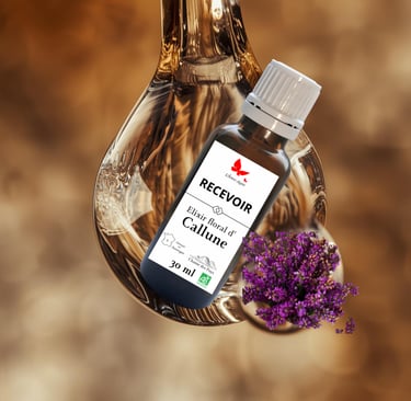 Flacon d'élixir floral de callune "Recevoir" présentée dans sa goutte d'eau et son bouquet de fleurs