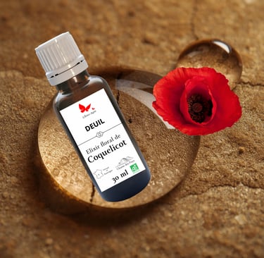 Flacon d'élixir floral de coquelicot "Deuil" présenté sur une goutte d'eau avec sa fleur rouge