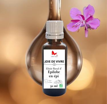 Flacon d'élixirs floral d'épîlobe en épi "joie de vivre"logo l'âme-agie dans sa goutte d'eau+ fleurs