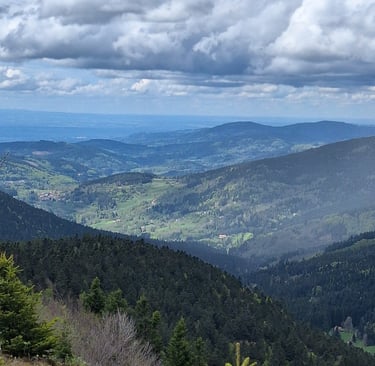 la vue de la croix du Fossat, Vallée du Fossat Parc du Livradois Forez