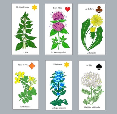 présentation de six cartes dessinées mains ,puis Paint extraites du Tarot A Fleurs d'Être L'Âme-Agie