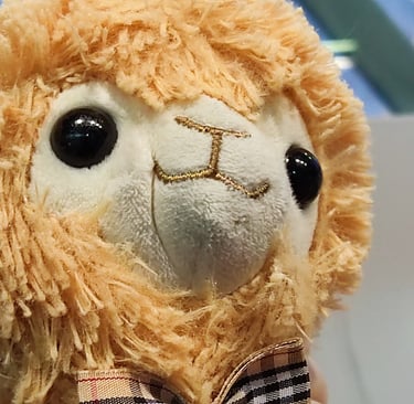 Bezpieczeństwo wypoczynku z dziećmi w Dabkach nad polskim morzem Bałtyk