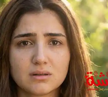 نعمة الأفوكاتو