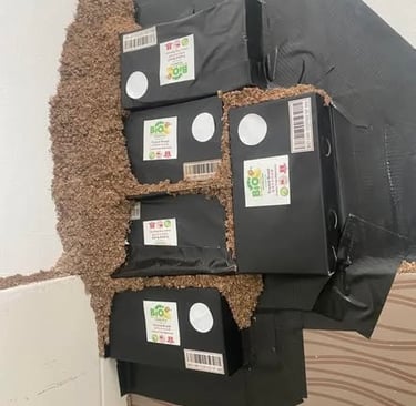 Multiple Bio Termite bait boxes installed to treat a severe subterranean termite infestation with ex