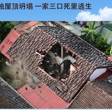 Residential roof collapse caused by severe termite wood damage illustrating structural safety risks.