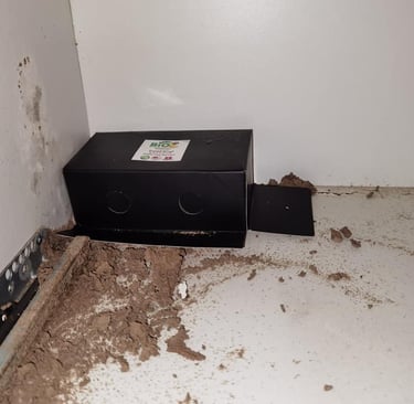 Severe structural roof collapse caused by untreated subterranean termite damage in residential home.