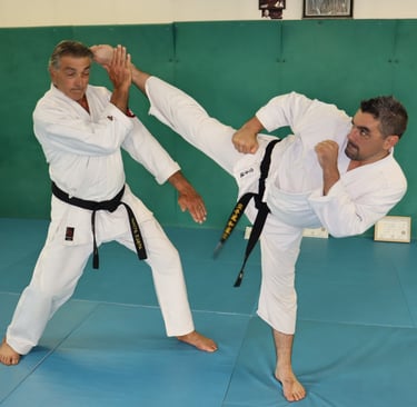 Dominique et Gregorie HHourcade Mawashi geri jodan