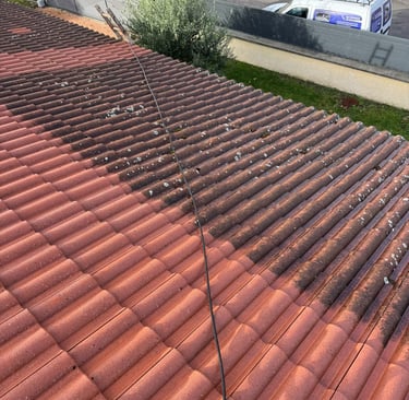 demoussage toiture lyon