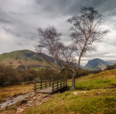 A bridge over a stream in Buttermere ©Mick Howard