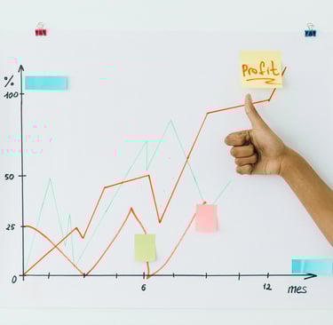 financila projection services