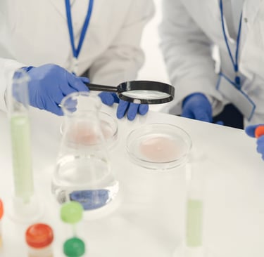 INCI ingredient list on Indian skincare product, magnifying glass highlighting paraben compounds