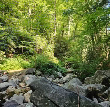 Smoky Mountains National Park, Tennessee--Hiking paradise for all skill levels.