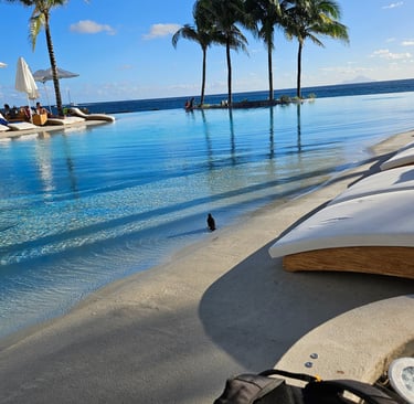 Bir-dy, in an excessively large bird bath, with a swim-up bar and waterslide, St. Maarten