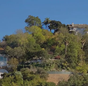 hillside homes in Studio City Hills