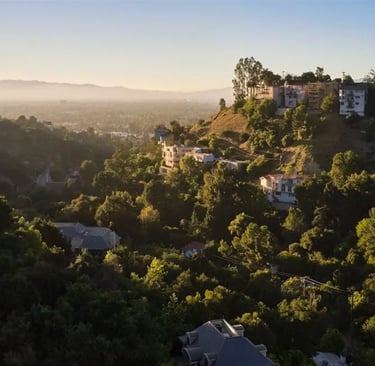 Coldwater Canyon Avenue descending through the Santa Monica Mountains into Studio City, a key detour