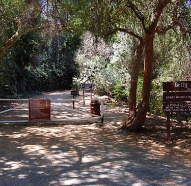 View of the San Fernando Valley from the Betty B. Dearing Trail above Fryman Canyon in Studio City