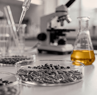 sjemenke i ulje sjemenki grožđa u labu