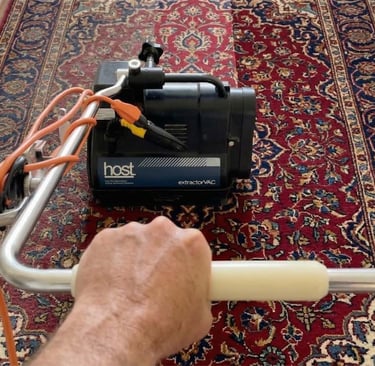 person holding carpet cleaning machine on a fine oriental rug