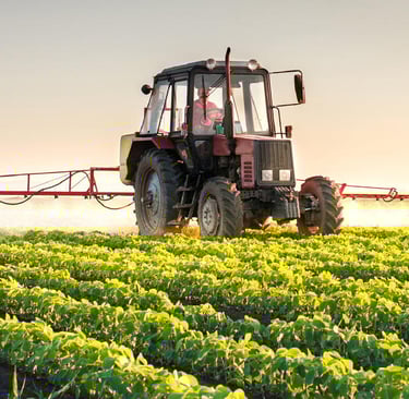 alt="cooking class baku" alt="azerbaijani cooking experience" alt="baku cooking workshop" alt="tradi