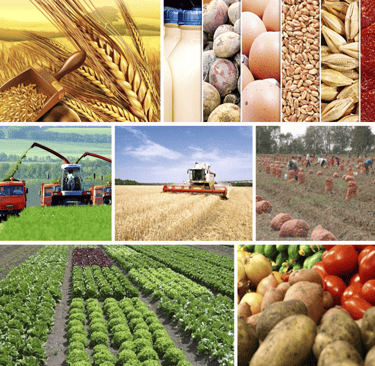 alt="cooking class baku" alt="azerbaijani cooking experience" alt="baku cooking workshop" alt="tradi