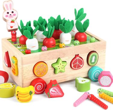 Montessori wooden shape sorter toy with colorful fruit blocks, carrots, and worms for toddler learning.