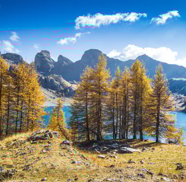 Le lac d'Allos à l'automne avec les tours du lac