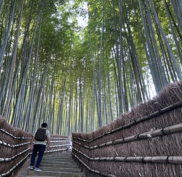 Minimalist Original Photo Arashiyama Bamboo Forest travel art printable